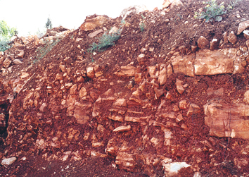 Israeli red clay (terra rosa) in Judean Hills